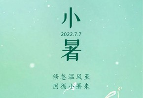 嵐泊灣丨蟬鳴聲聲小暑至，閑坐瓜田等風(fēng)來