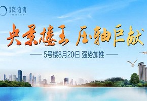嵐泊灣丨已巔峰再登峯！5#樓王，8月20日強(qiáng)勢加推！