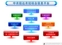農(nóng)村經(jīng)濟管理軟件系列產(chǎn)品展示 北京中農(nóng)信達信息技術引領智慧鄉(xiāng)村新篇章