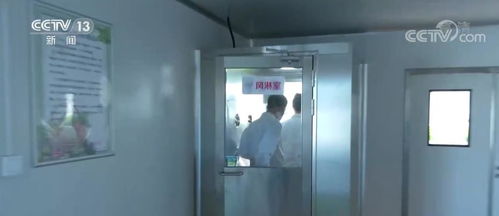 科技賦能植物工廠 北京技術咨詢引領蔬菜生長新境界